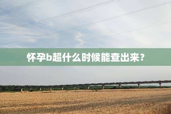 怀孕b超什么时候能查出来？