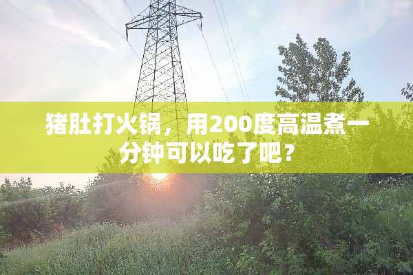 猪肚打火锅，用200度高温煮一分钟可以吃了吧？