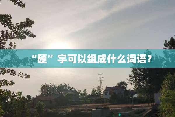 “硬”字可以组成什么词语？