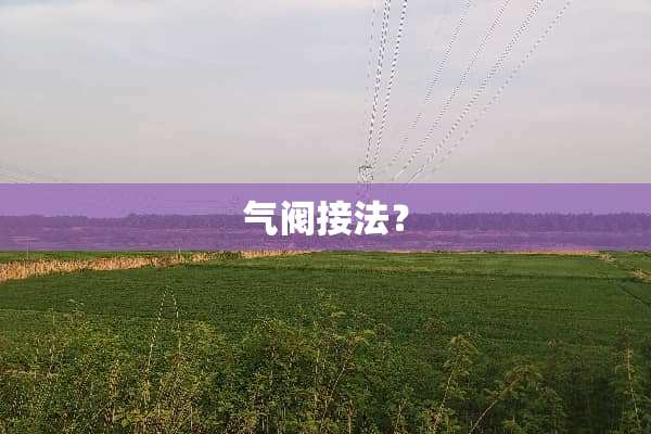 气阀接法？