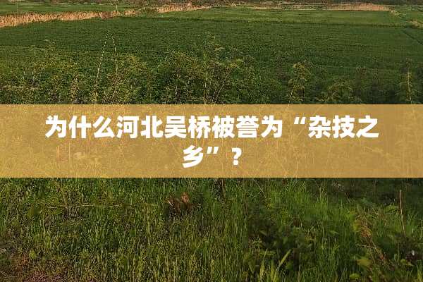 为什么河北吴桥被誉为“杂技之乡”？