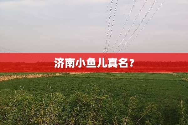 济南小鱼儿真名？