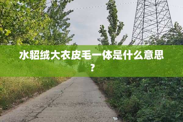 水貂绒大衣皮毛一体是什么意思？