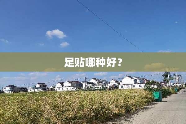 足贴哪种好？