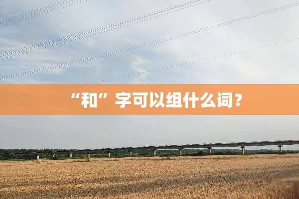 “和”字可以组什么词？