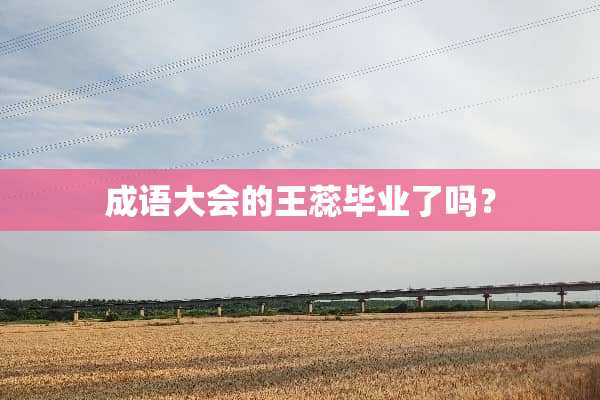 成语大会的王蕊毕业了吗？