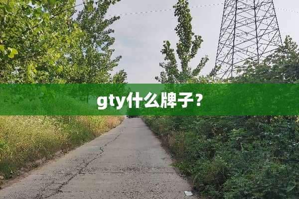 gty什么牌子？