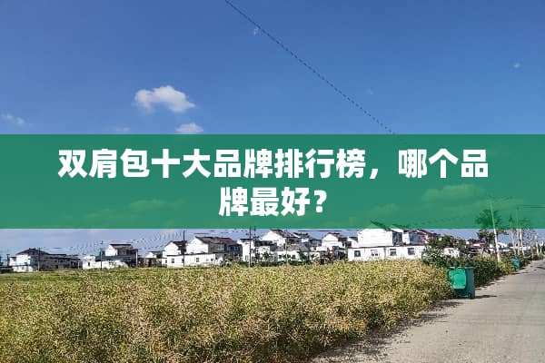 双肩包十大品牌排行榜，哪个品牌最好？