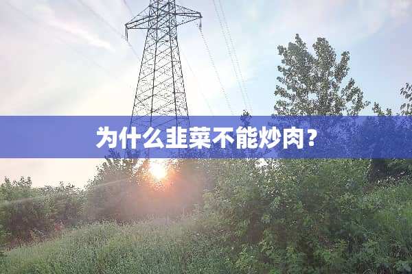 为什么韭菜不能炒肉？