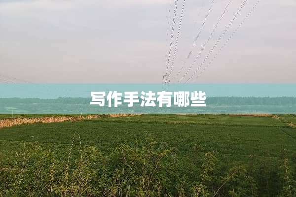 写作手法有哪些