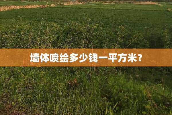 墙体喷绘多少钱一平方米？