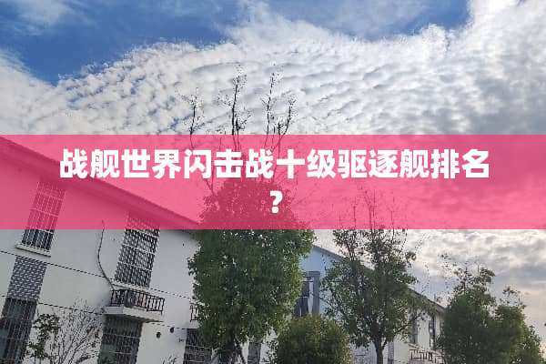 战舰世界闪击战十级驱逐舰排名？