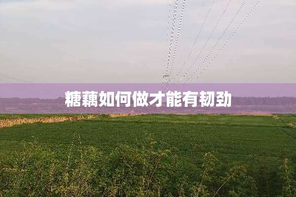 糖藕如何做才能有韧劲