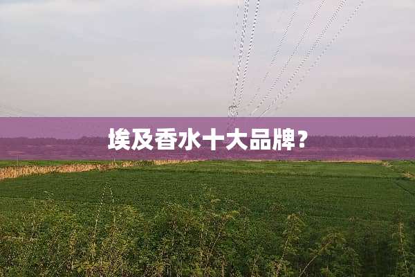 埃及香水十大品牌？