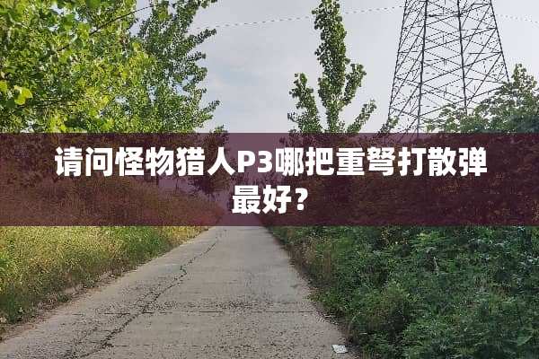 请问怪物猎人P3哪把重弩打**最好？