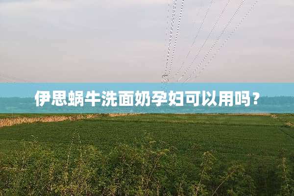 伊思蜗牛洗面奶孕妇可以用吗？