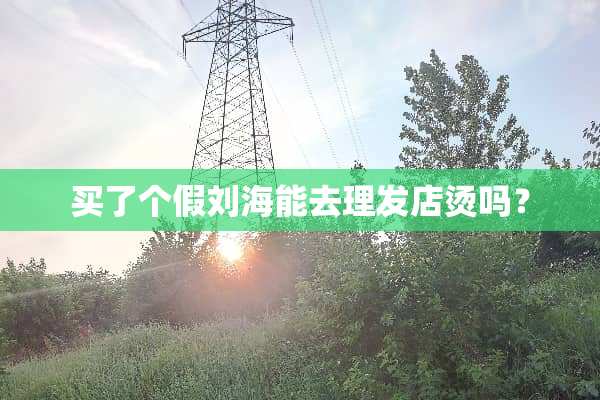 买了个假刘海能去理发店烫吗？