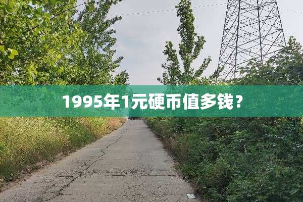 1995年1元**值多钱？
