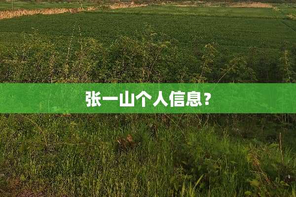 张一山个人信息？