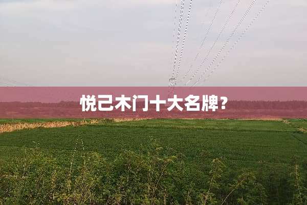 悦己木门十大名牌？