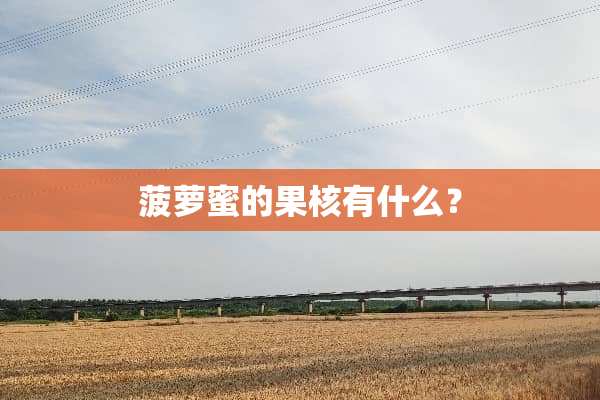 菠萝蜜的果核有什么？