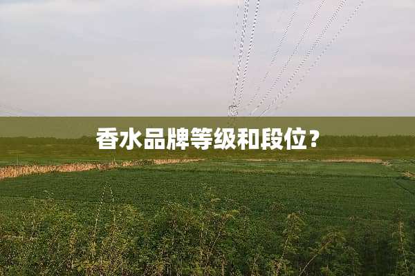 香水品牌等级和段位？
