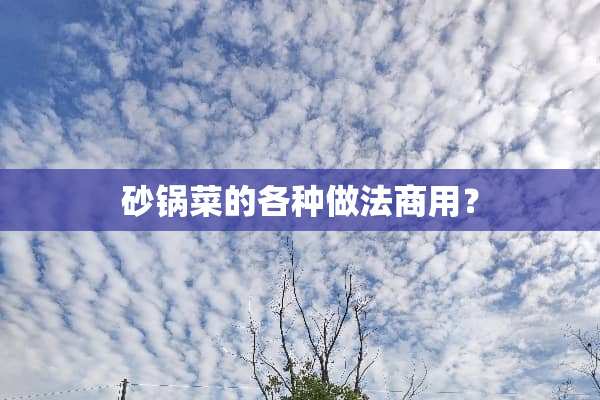 砂锅菜的各种做法商用？