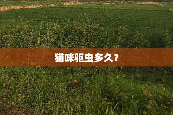 猫咪驱虫多久？