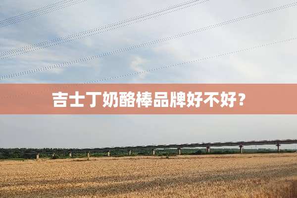 吉士丁奶酪棒品牌好不好？