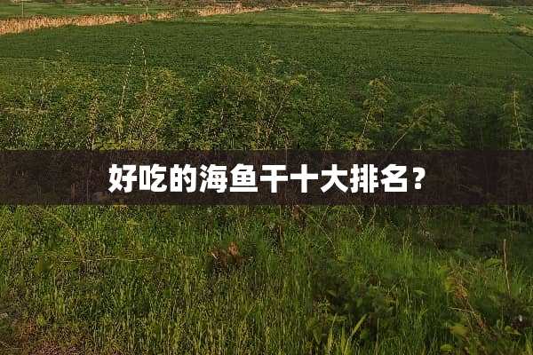 好吃的海鱼干十大排名？