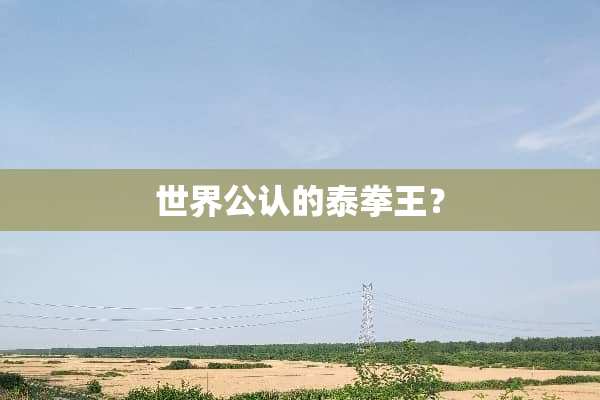 世界公认的泰拳王？