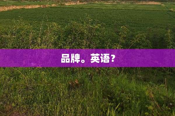 品牌。英语？