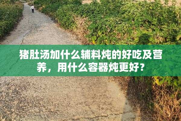 猪肚汤加什么辅料炖的好吃及营养，用什么容器炖更好？