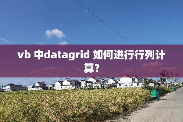 vb 中datagrid 如何进行行列计算？