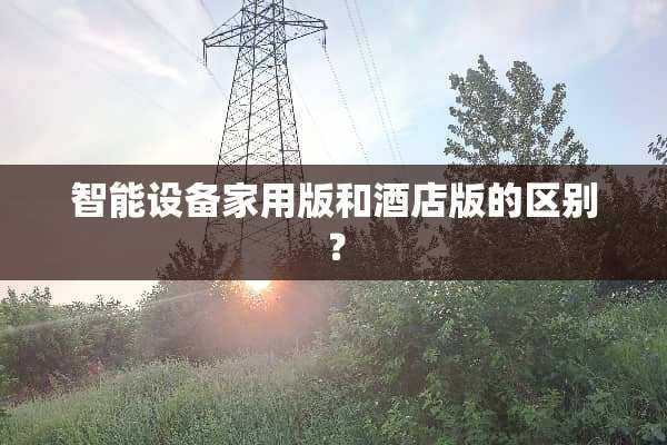 智能设备家用版和酒店版的区别？