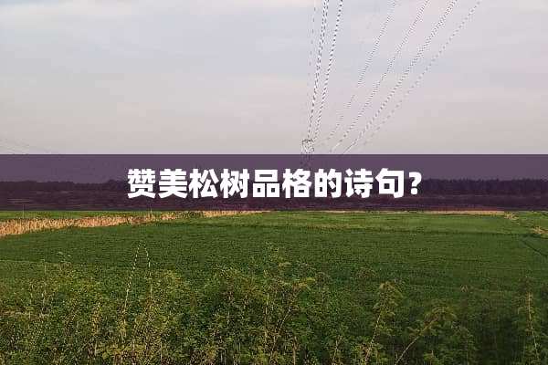 赞美松树品格的诗句？