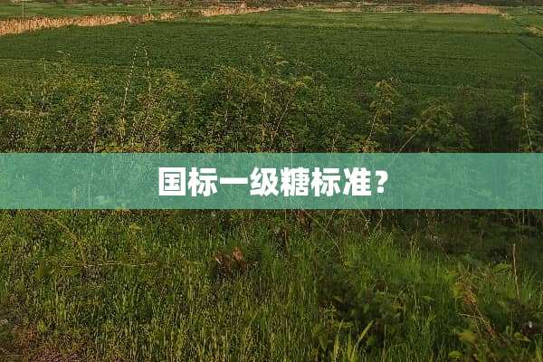国标一级糖标准？