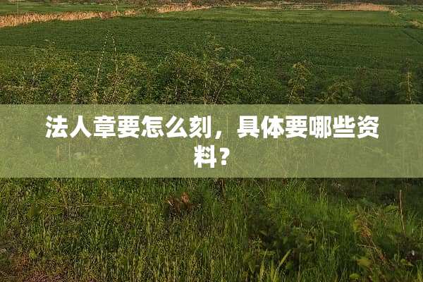 法人章要怎么刻，具体要哪些资料？