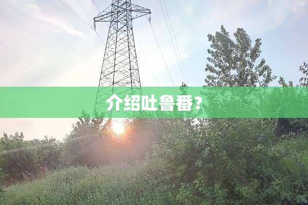 介绍吐鲁番？