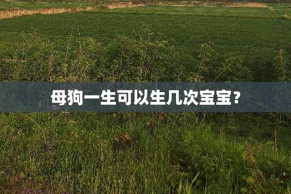 母狗一生可以生几次宝宝？