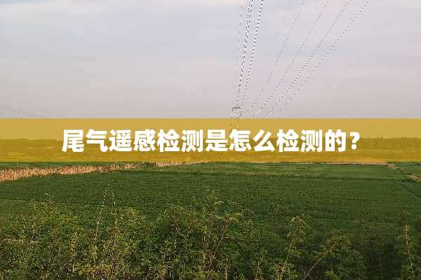 尾气遥感检测是怎么检测的？