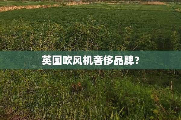 英国吹风机奢侈品牌？