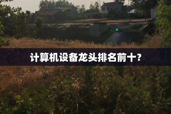 计算机设备龙头排名前十？