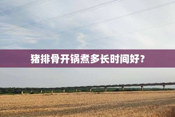 猪排骨开锅煮多长时间好？