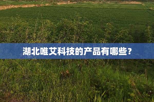 湖北唯艾科技的产品有哪些？