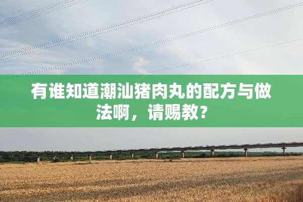 有谁知道潮汕猪肉丸的配方与做法啊，请赐教？