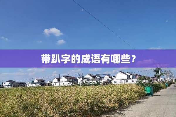 带趴字的成语有哪些？