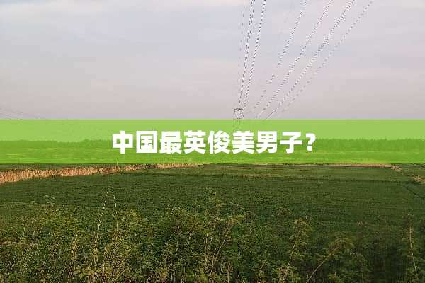 中国最英俊**子？
