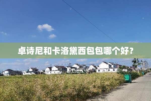 卓诗尼和卡洛黛西包包哪个好？