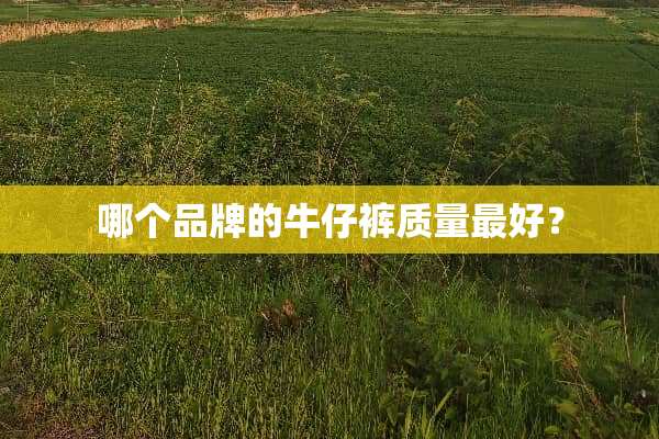 哪个品牌的牛仔裤质量最好？